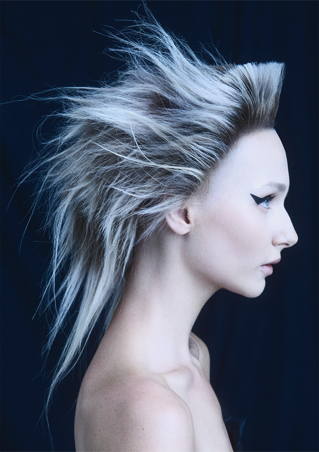 Avant Garde Shag Cut - Dee Parker Attwood - Hero Collection
